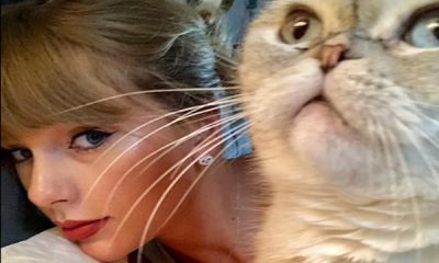 Taylor Swift and Her CAT