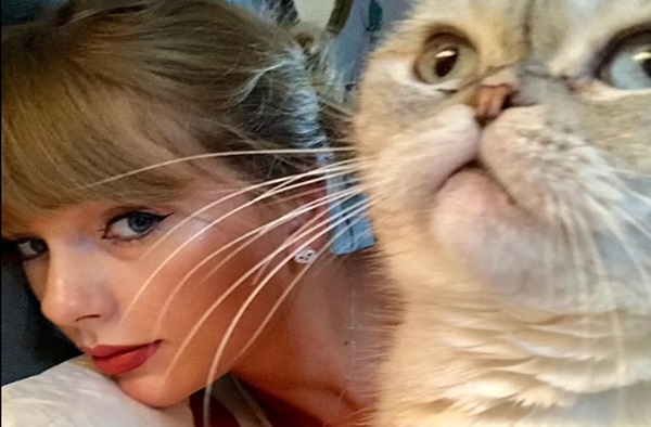 Taylor Swift and Her CAT