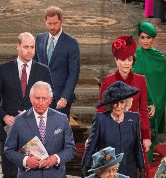 Royal Clash: Royals Including Prince William Allegedly Preventing King Charles from Mending Rift with Prince Harry which makes The situation over in Buckingham Palace is...not great.