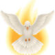 No turning back,is already too late, i have come this far saith who...See more below