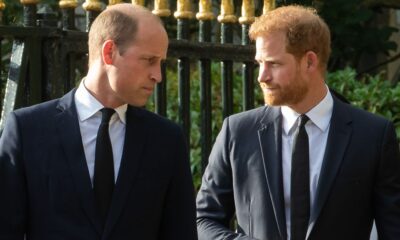 ROYAL FAMILY CLASH: Prince Harry goes head-to-head with William as great warring brothers issued 'painful and toxic ' warning...