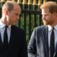 ROYAL FAMILY CLASH: Prince Harry goes head-to-head with William as great warring brothers issued 'painful and toxic ' warning...