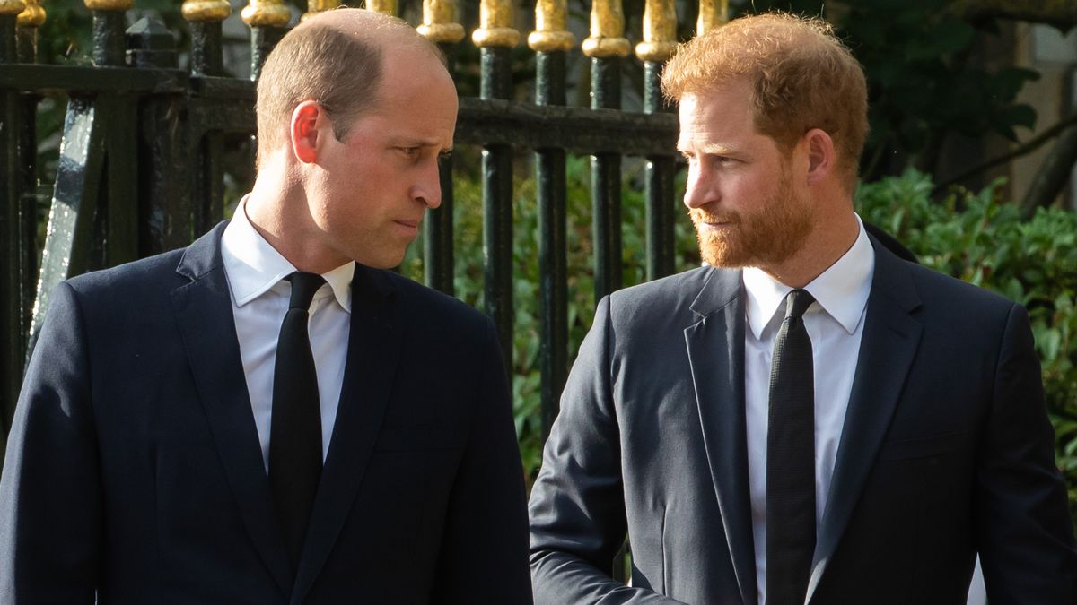 ROYAL FAMILY CLASH: Prince Harry goes head-to-head with William as great warring brothers issued 'painful and toxic ' warning...